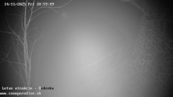 Dětská lyžařská školka