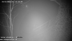 Dětská lyžařská školka