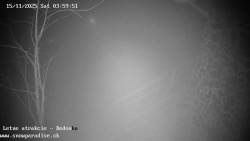 Dětská lyžařská školka