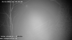 Dětská lyžařská školka