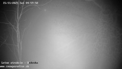 Dětská lyžařská školka