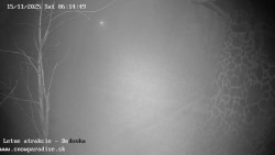 Dětská lyžařská školka