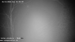 Dětská lyžařská školka