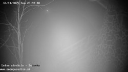 Dětská lyžařská školka