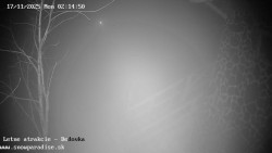 Dětská lyžařská školka