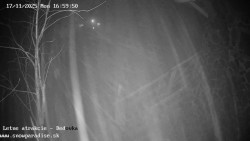 Dětská lyžařská školka