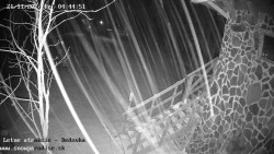 Dětská lyžařská školka