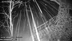 Dětská lyžařská školka