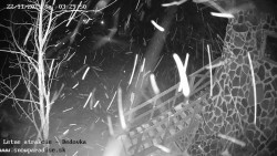 Dětská lyžařská školka