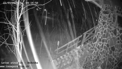 Dětská lyžařská školka