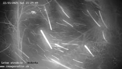 Dětská lyžařská školka