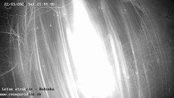 Dětská lyžařská školka