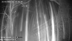 Dětská lyžařská školka