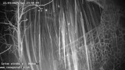 Dětská lyžařská školka