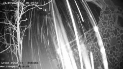 Dětská lyžařská školka