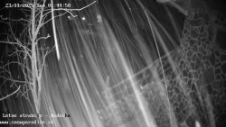 Dětská lyžařská školka