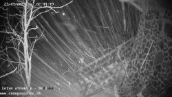 Dětská lyžařská školka