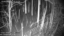 Dětská lyžařská školka