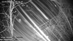 Dětská lyžařská školka