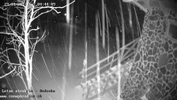 Dětská lyžařská školka