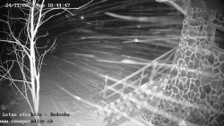 Dětská lyžařská školka