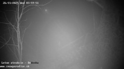 Dětská lyžařská školka