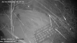 Dětská lyžařská školka