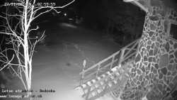 Dětská lyžařská školka