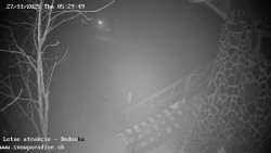 Dětská lyžařská školka