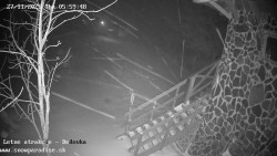 Dětská lyžařská školka