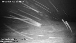 Dětská lyžařská školka