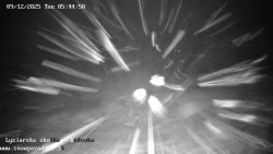 Dětská lyžařská školka