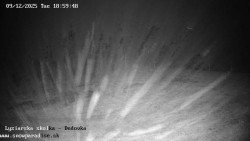 Dětská lyžařská školka