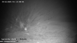 Dětská lyžařská školka