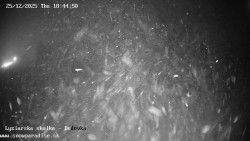 Dětská lyžařská školka