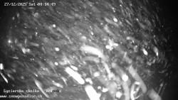 Dětská lyžařská školka