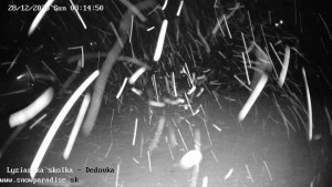 Snowparadise Veľká Rača - Dětská lyžařská školka - 28.12.2025 v 03:15 Snowparadise Veľká Rača - Dětská lyžařská školka - 28.12.2025 v 03:15