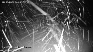 Snowparadise Veľká Rača - Dětská lyžařská školka - 28.12.2025 v 06:00 Snowparadise Veľká Rača - Dětská lyžařská školka - 28.12.2025 v 06:00
