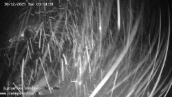 Dětská lyžařská školka