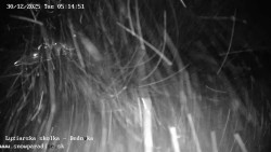 Dětská lyžařská školka