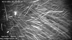 Dětská lyžařská školka