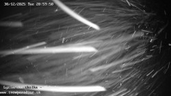 Dětská lyžařská školka