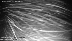 Dětská lyžařská školka