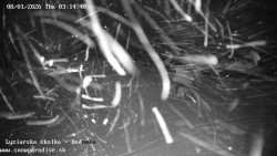 Dětská lyžařská školka