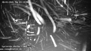 Snowparadise Veľká Rača - Dětská lyžařská školka - 8.1.2026 v 03:15 Snowparadise Veľká Rača - Dětská lyžařská školka - 8.1.2026 v 03:15