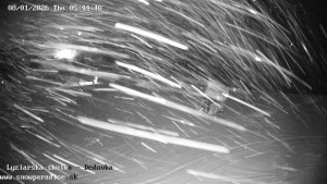 Snowparadise Veľká Rača - Dětská lyžařská školka - 8.1.2026 v 05:45 Snowparadise Veľká Rača - Dětská lyžařská školka - 8.1.2026 v 05:45