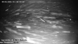 Dětská lyžařská školka