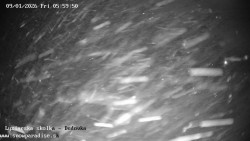 Dětská lyžařská školka