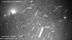 Dětská lyžařská školka