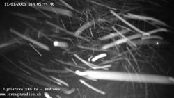 Dětská lyžařská školka